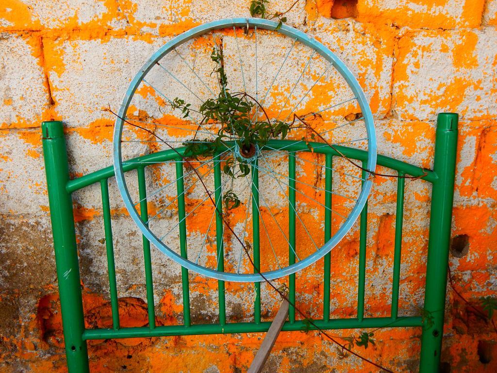 Street Garden Hostel Vina del Mar Exterior photo